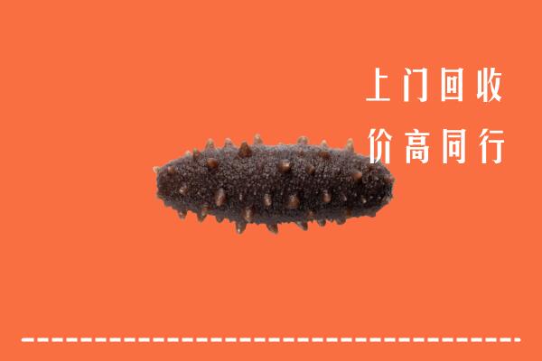 高价求购：怒江市回收海参