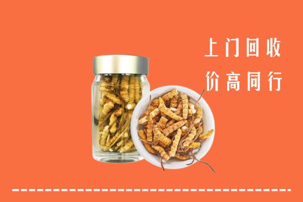 怒江市回收冬虫夏草